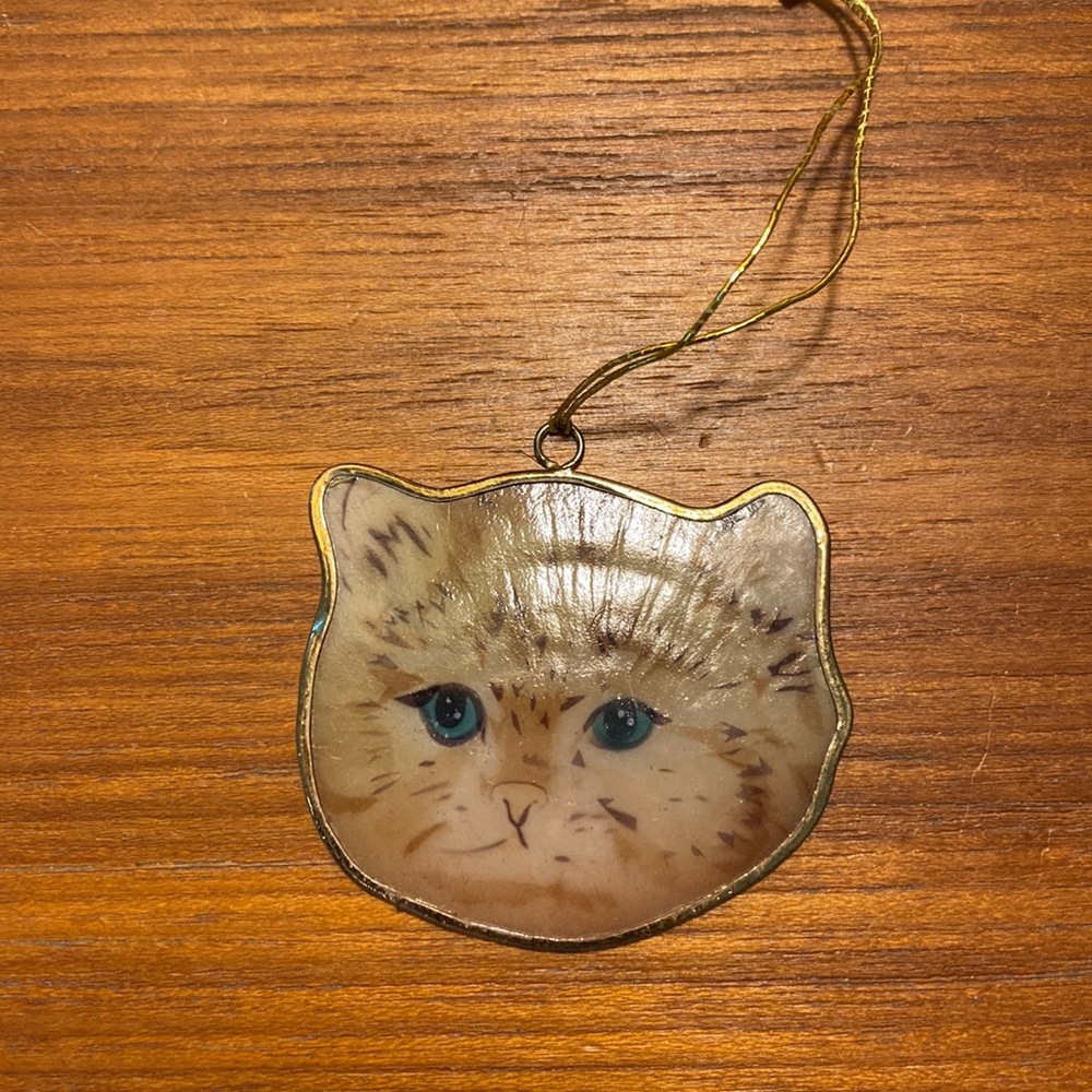 Cat Face Christmas Ornament on a Thin Seashell Gold Edge